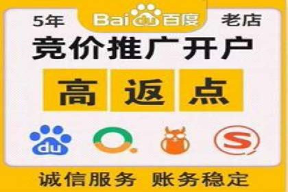 百度推广公司案例分享：效果显著的网络广告策略